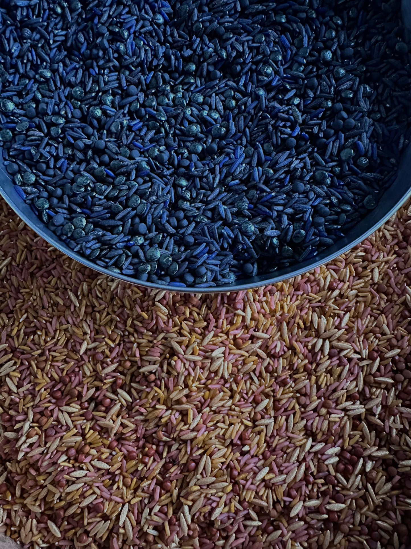 🏴☠️ Avonturiers Bundel